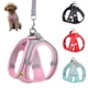 thumbnail image 2 of Dog Harness Leash Set for Small Dogs Adjustable Puppy Cat Harness Vest French Bulldog Chihuahua Pug Outdoor Walking Lead Leash ShopWise Round, 2 of 11