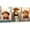 NO.0184, variant on Hieng 3 Pieces Highland Cow Bathroom Wall Art Cute Cattle Baby in Bathtub Pictures Funny Calf Reading on Toilet Canvas Prints Farm Animal Paintings Decor Unframed