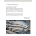 thumbnail image 3 of Schiffer Earth Science Monograph Collector's Guide to Crawfordsville Crinoids, (Paperback), 3 of 4