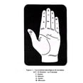 thumbnail image 4 of Quiromancia pràctica. cómo leer las líneas de la mano, 4 of 6