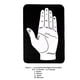 thumbnail image 4 of Quiromancia pràctica. cómo leer las líneas de la mano, 4 of 6
