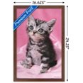 thumbnail image 3 of Keith Kimberlin - Kitten - Cute Wall Poster, 14.725" x 22.375", Framed, 3 of 3