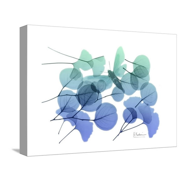 Art.com Explosion of Spring L245 Stretched Canvas Print Wall Art by Albert Koetsier, 16" x 12"