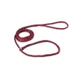 thumbnail image 5 of Bulk Pack Strong Dog Control Slip Lead Leashes Assorted Color Vet Rescue Kennel Choose Quantity (120 Leads), 5 of 8
