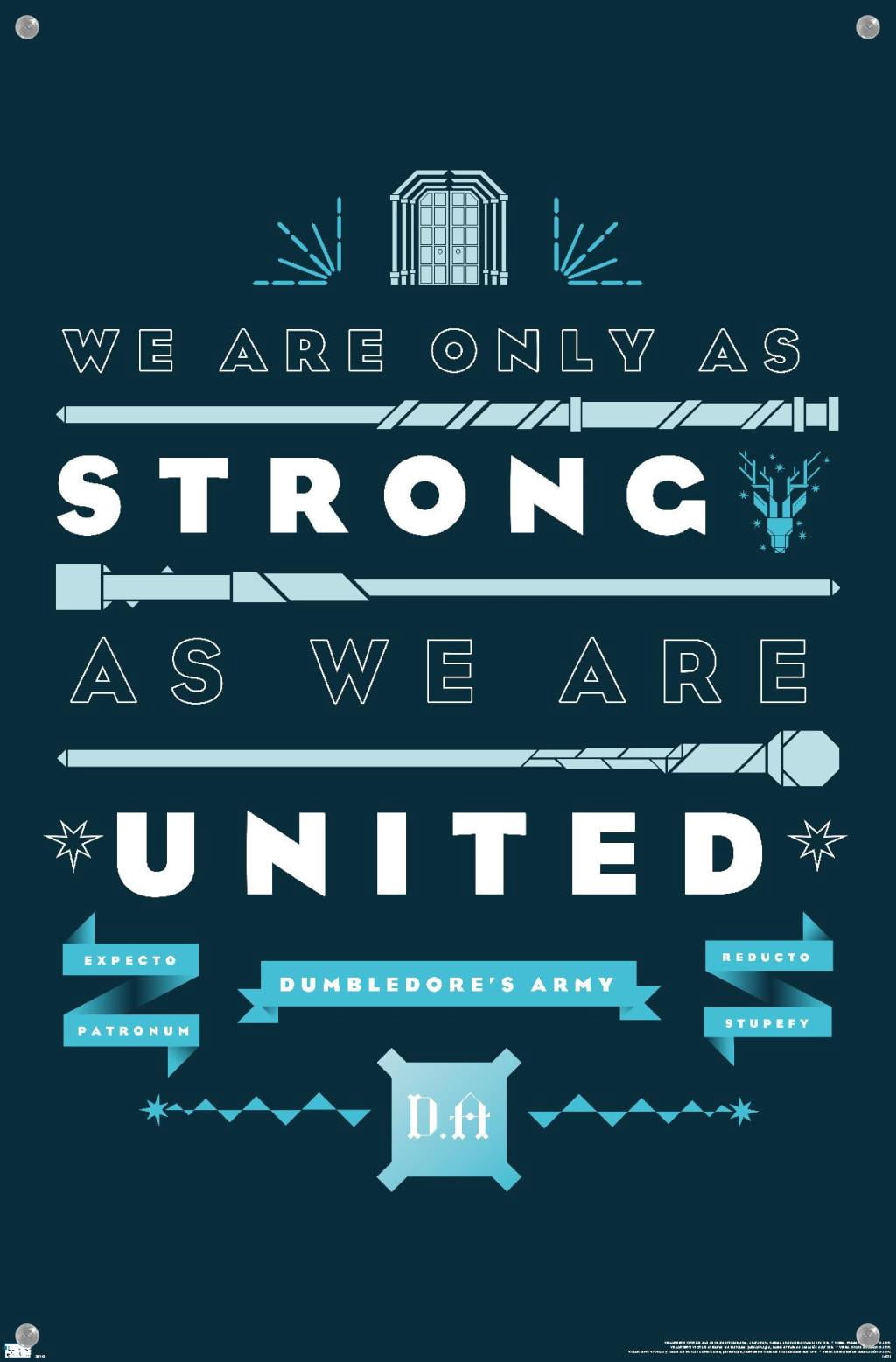 Harry Potter - United Wall Poster with Pushpins, 14.725" x 22.375"