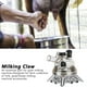 thumbnail image 4 of Milking Collector, Non-Toxic 1 PCS Durable 13x11x12cm Milker Claw Cluster, For Goat Sheep Cow Cattle ANGGREK Otros, 4 of 8