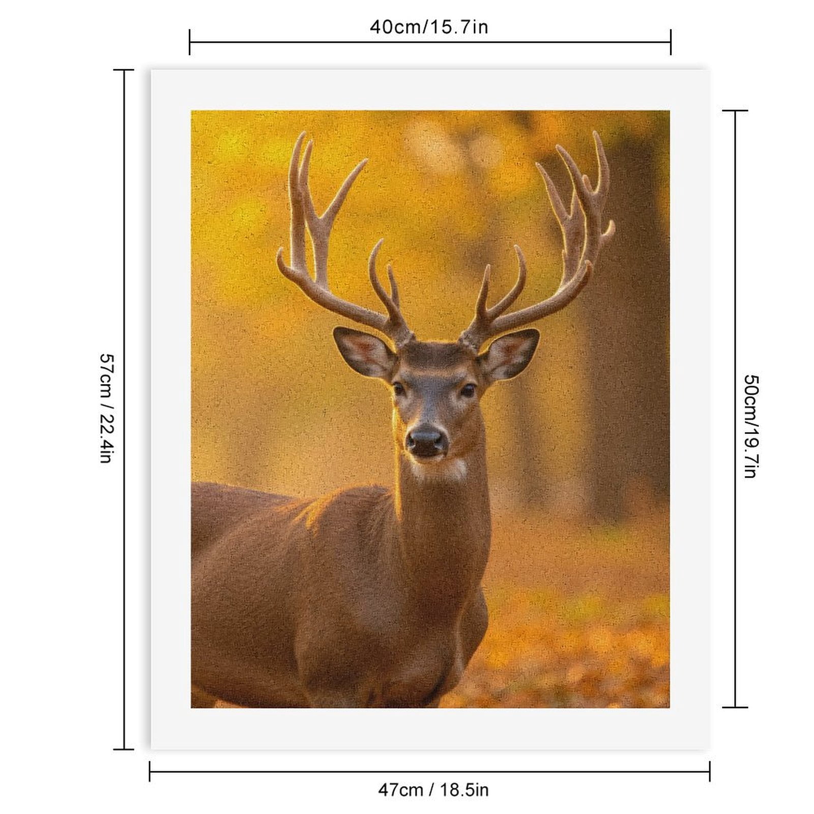 Paint by Numbers Kit for Adults, Majestic Deer Autumn Forest Scene Paint by Numbers, Easy Paint by Numbers Kit for Adults Beginner, DIY Adult Paint by Number Kits on Canvas, Home Decor