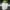 White, variant on Vikakiooze Grow Bags, Biodegradable Nursery Bags Set, Plant Grow Bags Non-Woven Seed Planting Bag, Seed Starter Bags Fabric Seedling Pots Plants Pouch Home Garden Supply,Wholesale
