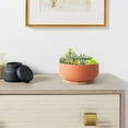 thumbnail image 2 of Terracotta Pot 8 inch Shallow Round Succulent Planter Bowl with Drainage & Bamboo Tray Flower Pots for Indoor Plants Cacti Bonsai Red, 2 of 12