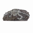 thumbnail image 4 of Decoración Fósil De Dinosaurio Reptil, Resina Vívida Hermosa Artificial Resistente Decoración Fósil De Dinosaurio De Acuario Para Acuario Para Paisaje Acuático, 4 of 7