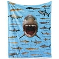 thumbnail image 4 of Kainsy Shark Blanket for Boys, Soft Flannel Shark Alphabet Throw Blanket for Boys Kids Girls Adult, Lightweight Shark Gift for Shark Lovers, All Season(50"x60"), 4 of 8