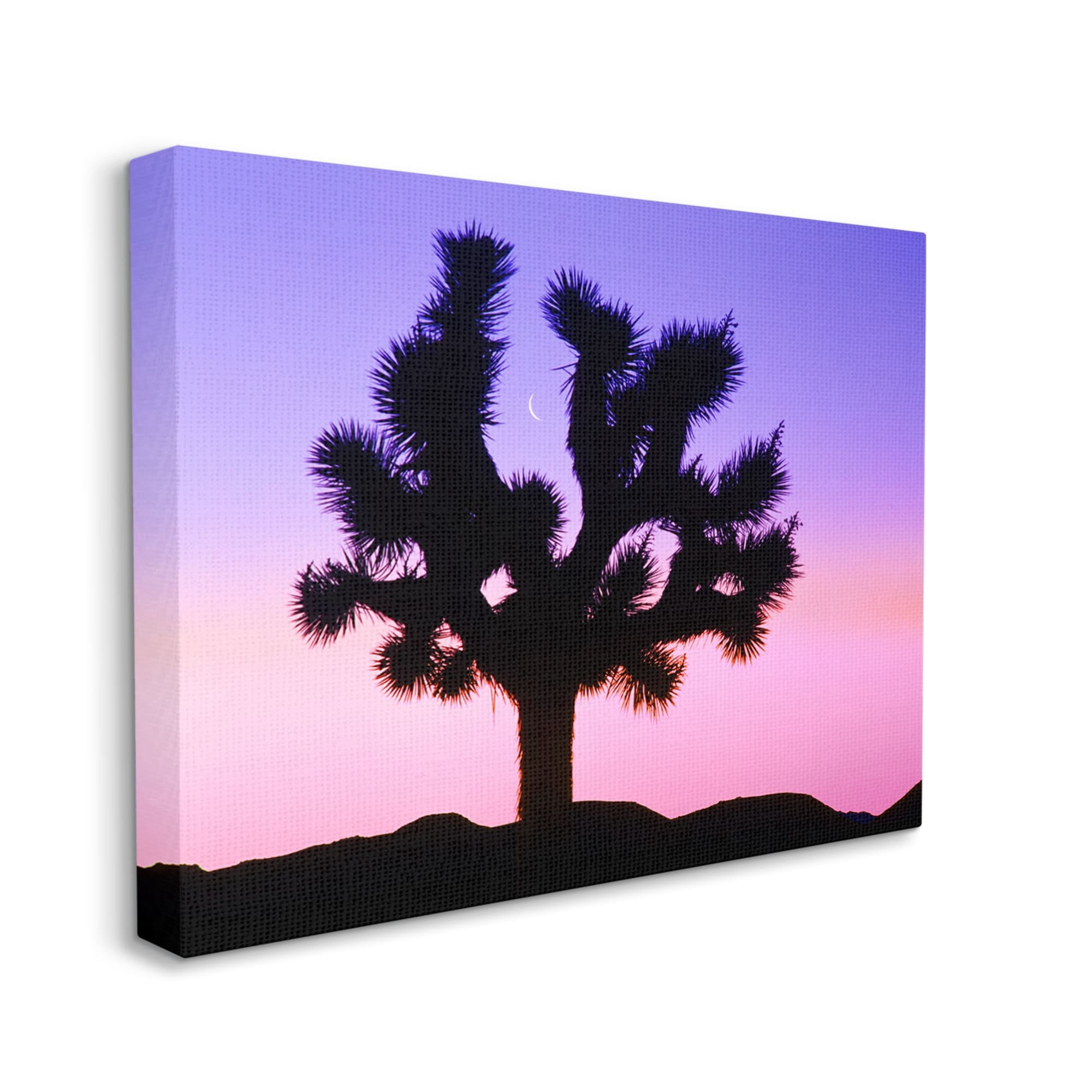 Stupell Industries Crescent Moon Tree Silhouette Landscape Photography Gallery Wrapped Canvas Print Wall Art