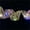 A648, variant on Bows Ribbons on Clearance(2m)Christmas Decoration LED Ribbon Lights Christmas Tree Ornaments DIY Lace Bow String Lights Decoration
