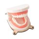 thumbnail image 1 of Juguete de Aprendizaje perfke Cepillado de dientes Modelo Material didáctico tablero ocupado, 1 of 9