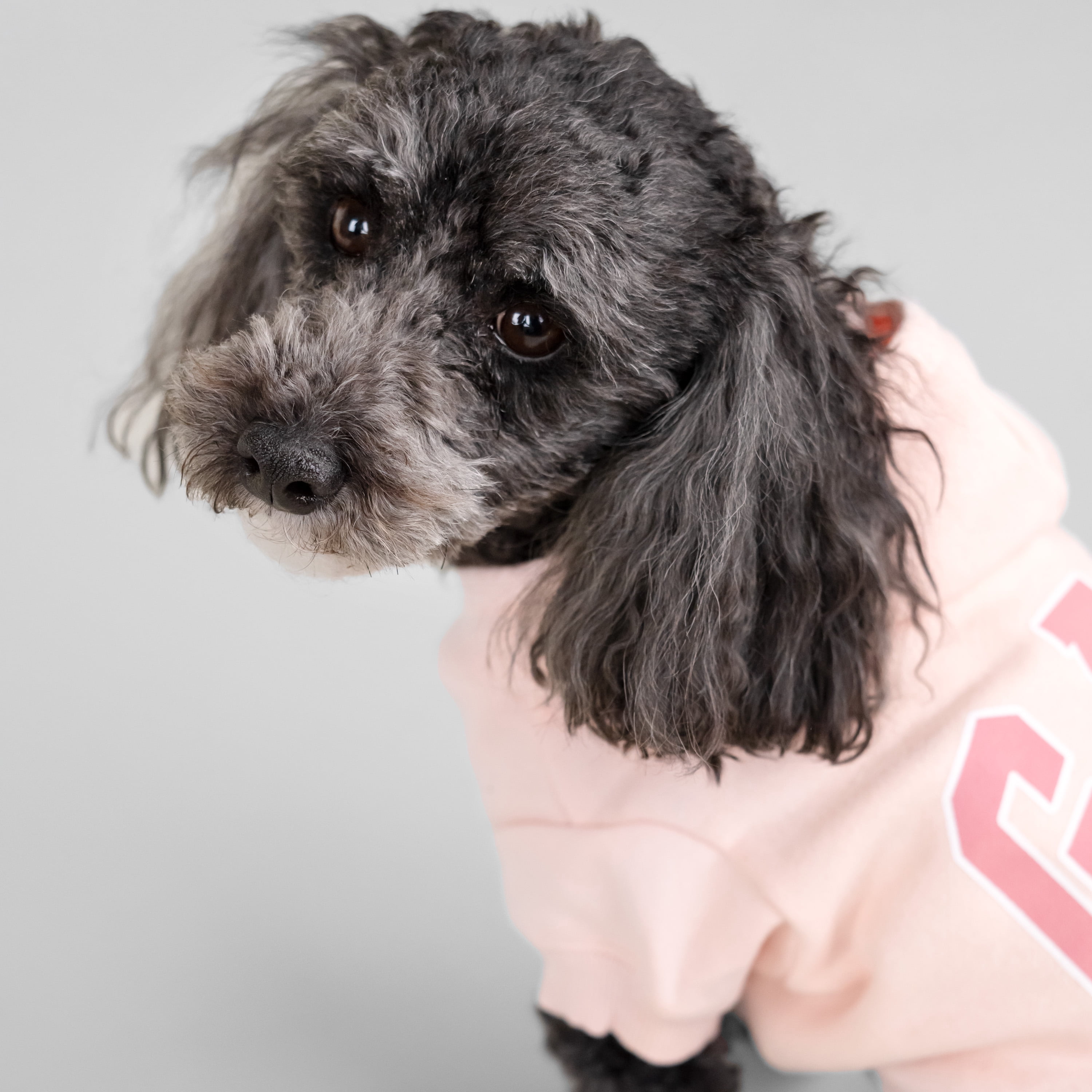 Gap Pet Dog and Cat Clothes, Classic Gap Logo Pet Hoodie, Pink