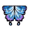 thumbnail image 3 of Disfraz de alas de mariposa para niños, chal novedoso para regalos de fiesta, cumpleaños, espectáculos. Azul púrpura, 3 of 9