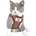 thumbnail image 2 of LAICAIW Dog Harness and Leash Set, No Pull Reflective Adjustable Pet Soft Mesh Chest Vest Harnesses Easy Control for Small Medium Dogs and Cats Outdoor Walking, 2 of 7