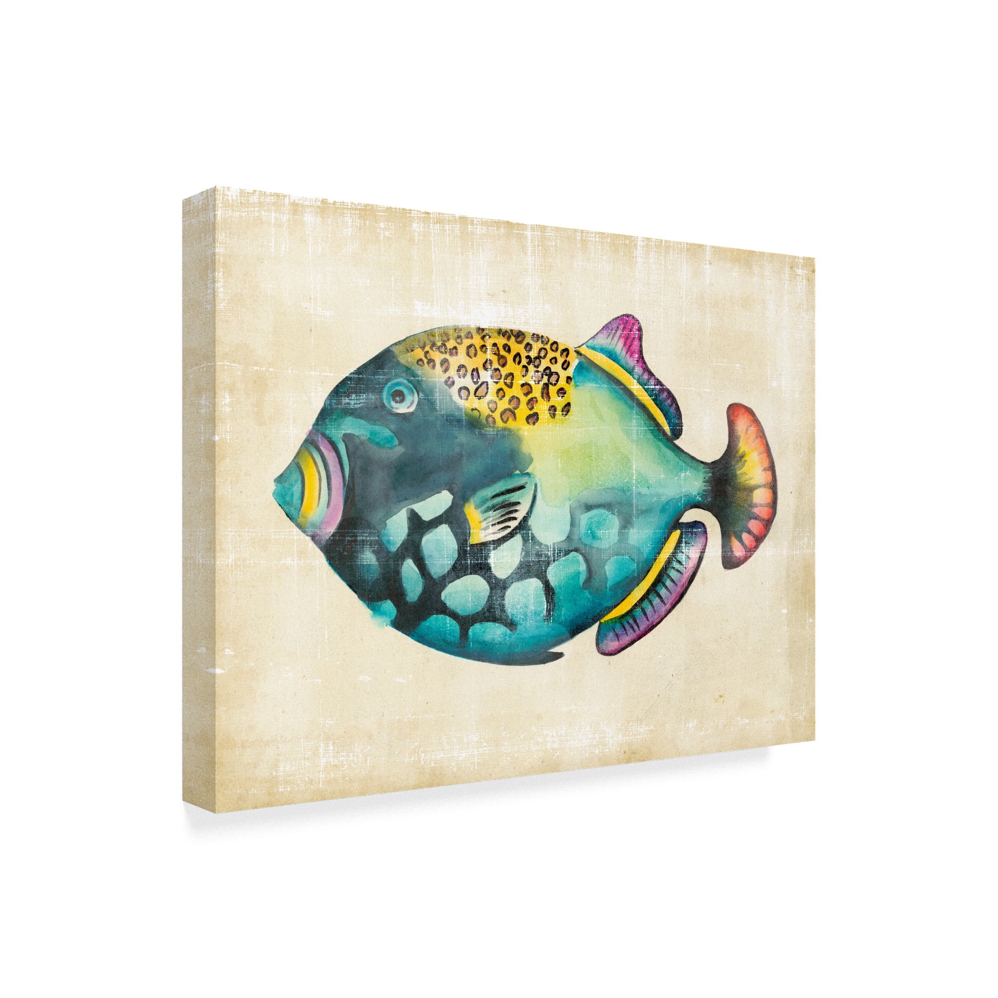 Trademark Fine Art 'Aquarium Fish IV' Canvas Art by Chariklia Zarris