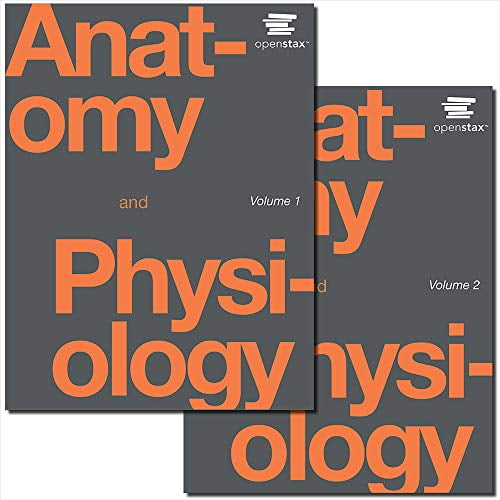 Pre-Owned Anatomy and Physiology by OpenStax (Official Print Version, paperback, B&W)