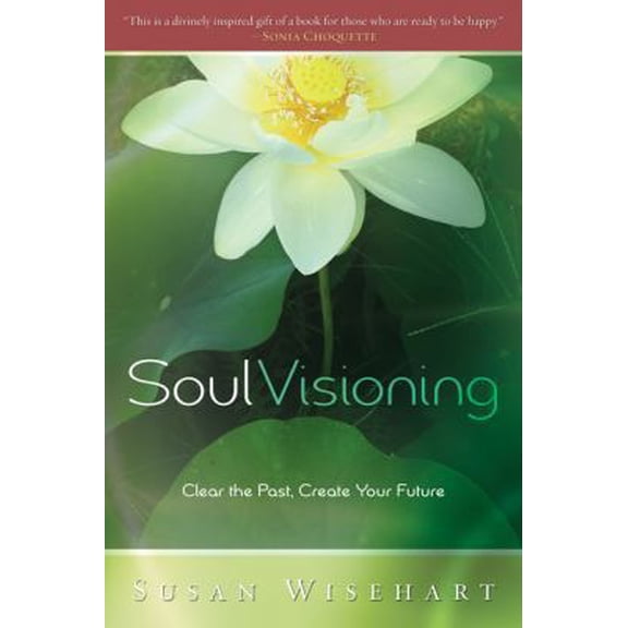 Pre-Owned Soul Visioning: Clear the Past, Create Your Future (Paperback) 0738714089 9780738714080