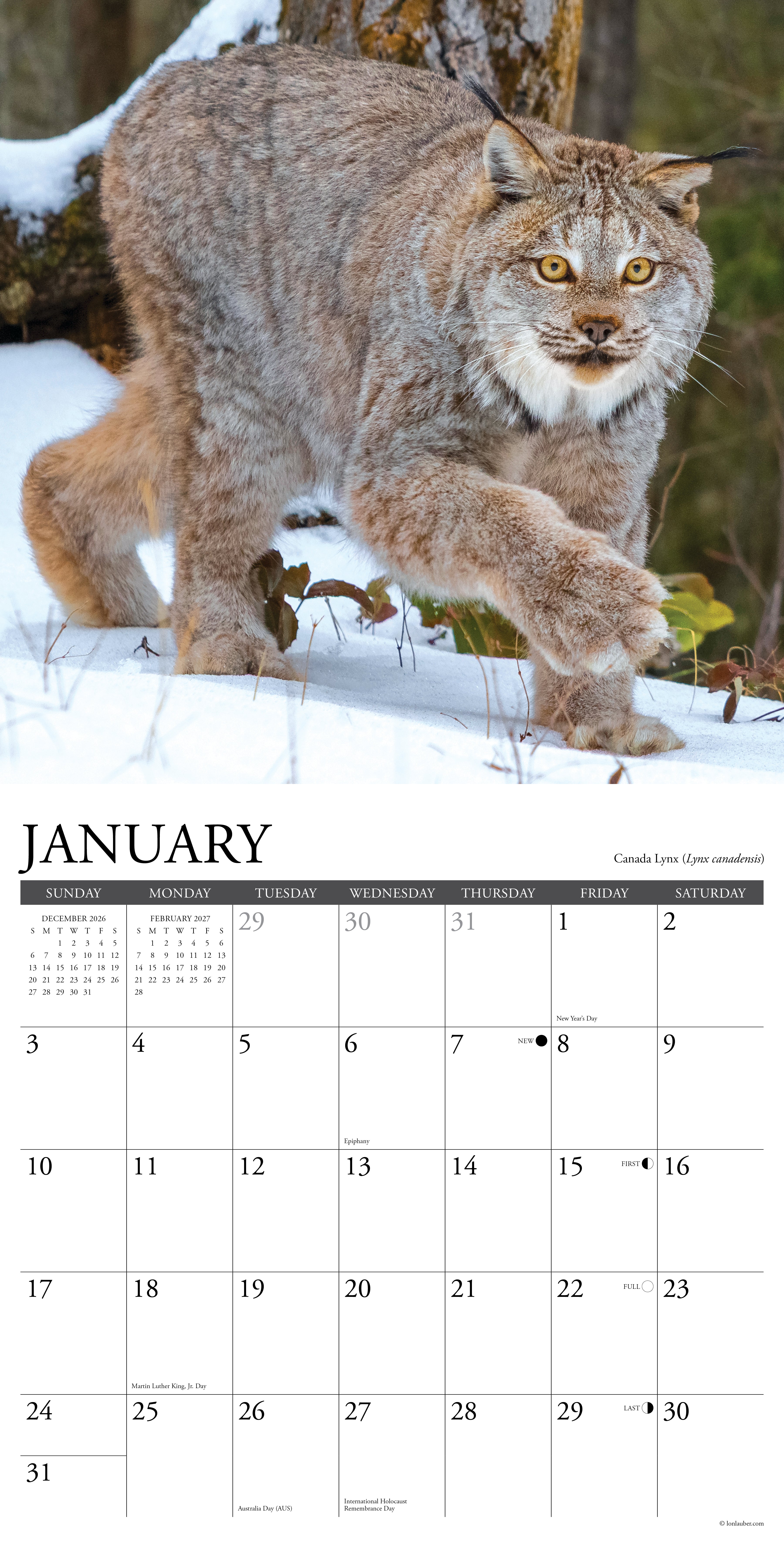 Willow Creek Press, Rocky Mountain Wildlife 2027 Wall Calendar