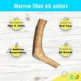 thumbnail image 4 of hotspot pets Premium Elk Antlers for Dogs, Naturally Shed Elk Antlers, All Natural Elk Antler Dog Chew Rawhide Alternative Made in USA - for Aggressive Chewers (Small), 4 of 7