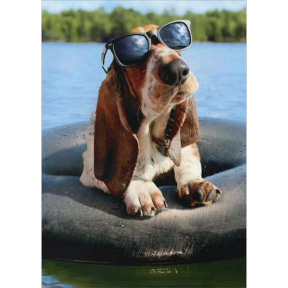 Avanti Press Basset Hound Wearing Sunglasses Funny Dog Birthday Card