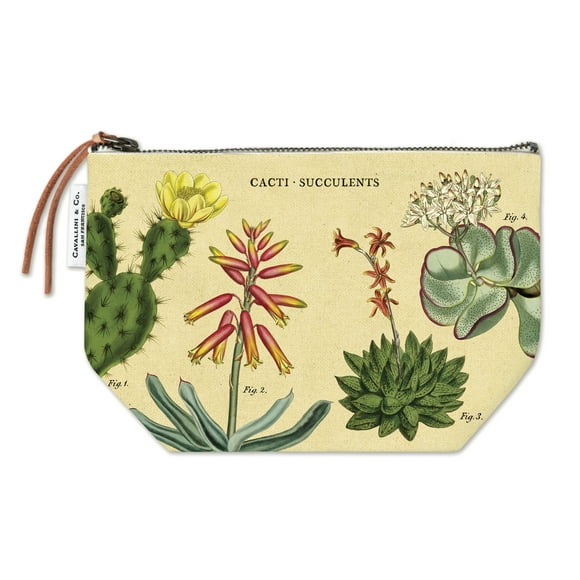 Pouch Succulents