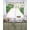 Beige Green, variant on St. Patrick's Swag Valances for Windows, Small Curtains Drapes, Lucky Shamrock Green Eucalyptus Floral Plants Kitchen Window Curtains Over Sink Window Treatment Valance for Bedroom/Bathroom 56"x36"