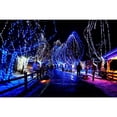 thumbnail image 3 of Cadena de luces MYGOTO de 10 m, 100 LED, resistentes al agua, blanco frío y azul, 3 of 6