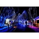 thumbnail image 3 of Cadena de luces MYGOTO de 10 m, 100 LED, resistentes al agua, blanco frío y azul, 3 of 6