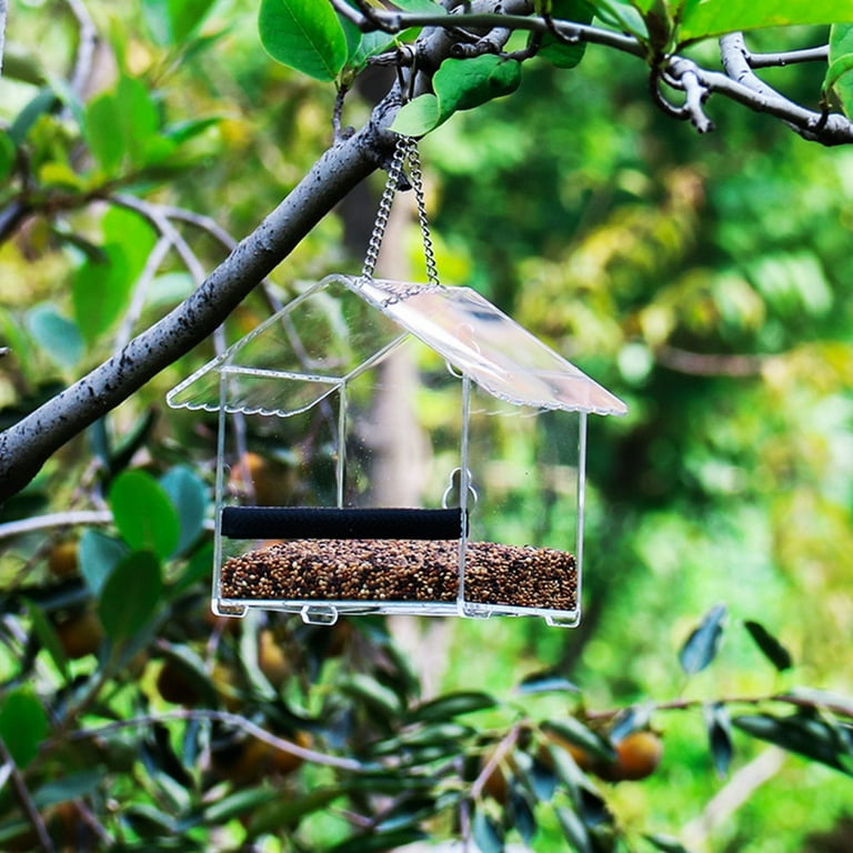 Jarkyfine wuzi01 Window Bird Feeder, clear Window Bird Feeder with Strong  Suction cups, Large Acrylic Weatherproof Bird Feeders for Wild Birds wi