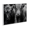 thumbnail image 4 of Cow Faces on Farm Wall Plaque Art, design by Amy Carroll, 4 of 8