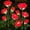 Red, variant on Solar Garden Lights, Solar Outdoor Lights with More Realistic 10 Rose Waterproof Solar Powered Flowers for Outside Patio Yard Pathway Decorations, 2 Pack Red