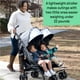 thumbnail image 3 of Summer Infant 3Dlite Folding Lightweight Side by Side Double Stroller with 5-Point Safety Harness for Infants and Toddlers, Black, 3 of 5