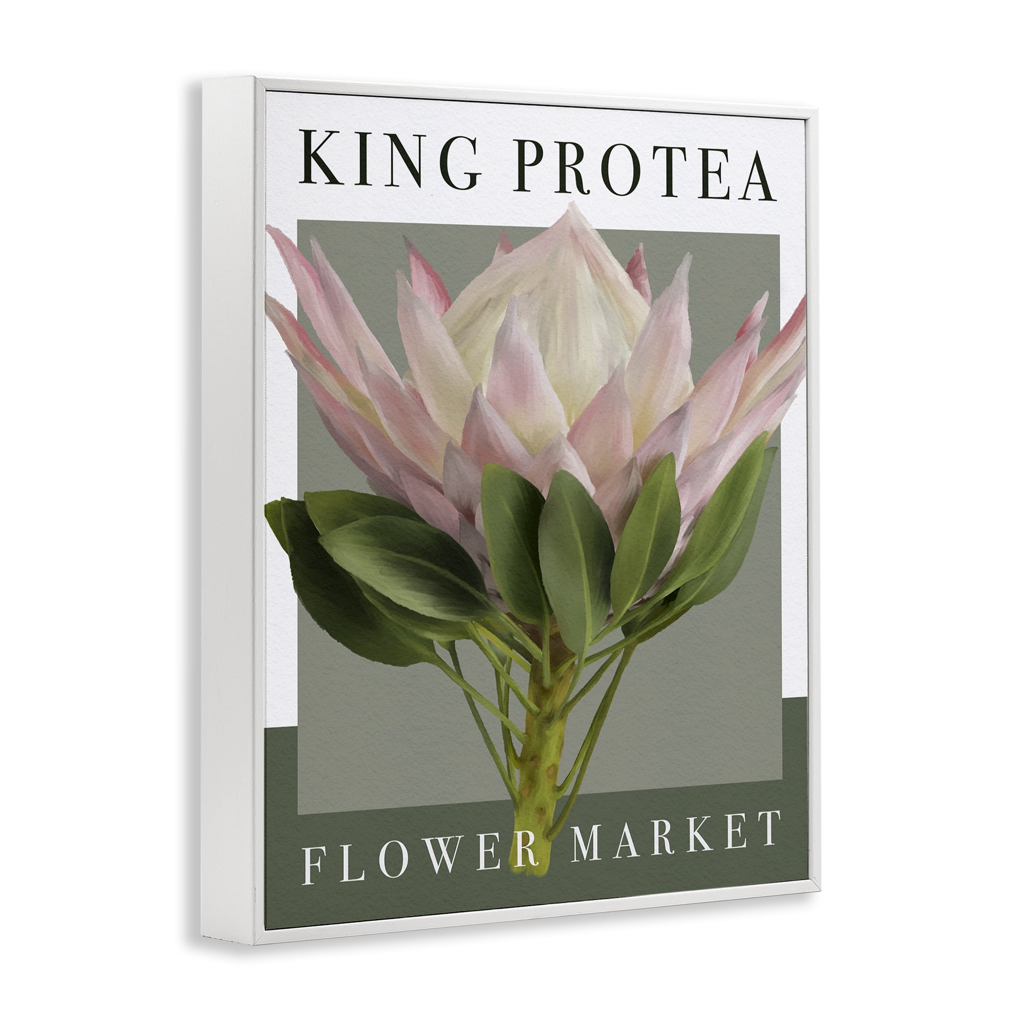 Stupell Industries King Protea Flower Market White Framed Giclee Art, design by Jennifer Stith
