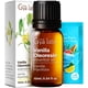 thumbnail image 1 of Aceite Esencial de Vainilla Gya Labs 10 ml para Aromaterapia, 1 of 6