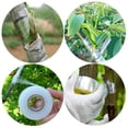 thumbnail image 5 of 200-Meter Stretchable Grafting Tape Roll for Tree and Fruit Branch Grafting, Home Garden Supplies, 5 of 7