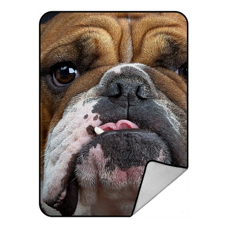 Bulldogs Fleece Blanket - GCKG Bulldog Fleece Blanket Crystal Velvet Front and Lambswool Sherpa Fleece Back Throw Blanket 58x80inches
