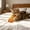 🔥 Yellow_New#2722, variant on Cat Spring Toy for Indoor Cats – Bouncing Tube Chase Toy, Interactive Exercise and Play Accessory