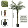 thumbnail image 2 of 6ft Tall Artificial Palm Tree for Outdoor Indoor Decor, Large Faux Coconut Silk Palm Tree Tropical Fake Tree Perfect for Outside Patio Poolside Home Office Decor (Set of 2), 2 of 6