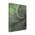 thumbnail image 2 of Trademark Fine Art 'Surround II' Canvas Art by James Burghardt, 2 of 4