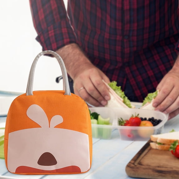 Homesteed Insulated Lunch Bag for Women and Men Leakproof Lunch Box Reusable Cooler Bag for Office Picnic Beach and Travel Loncheras Para Mujer