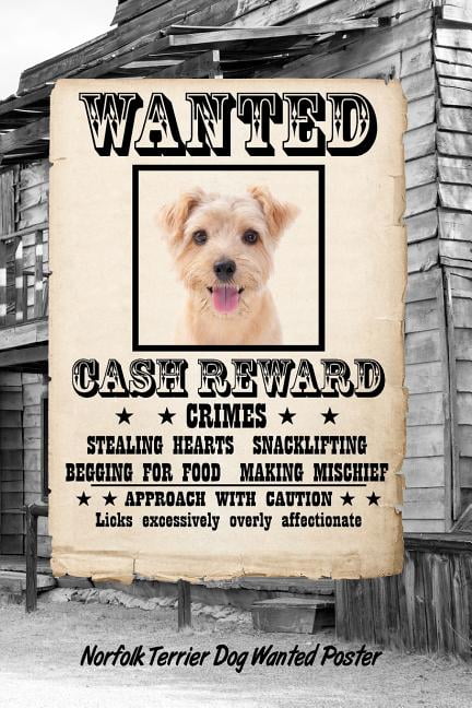 Norfolk Terrier Dog Wanted Poster: Classic Style Blank Cookbook Recipes