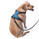 thumbnail image 2 of Balery Cute Shark Arnés para Perros Grandes Antitirones, Arnés con Correa para Gato, Arnés Tipo Chaleco para Perros Pequeños-Large, 2 of 6