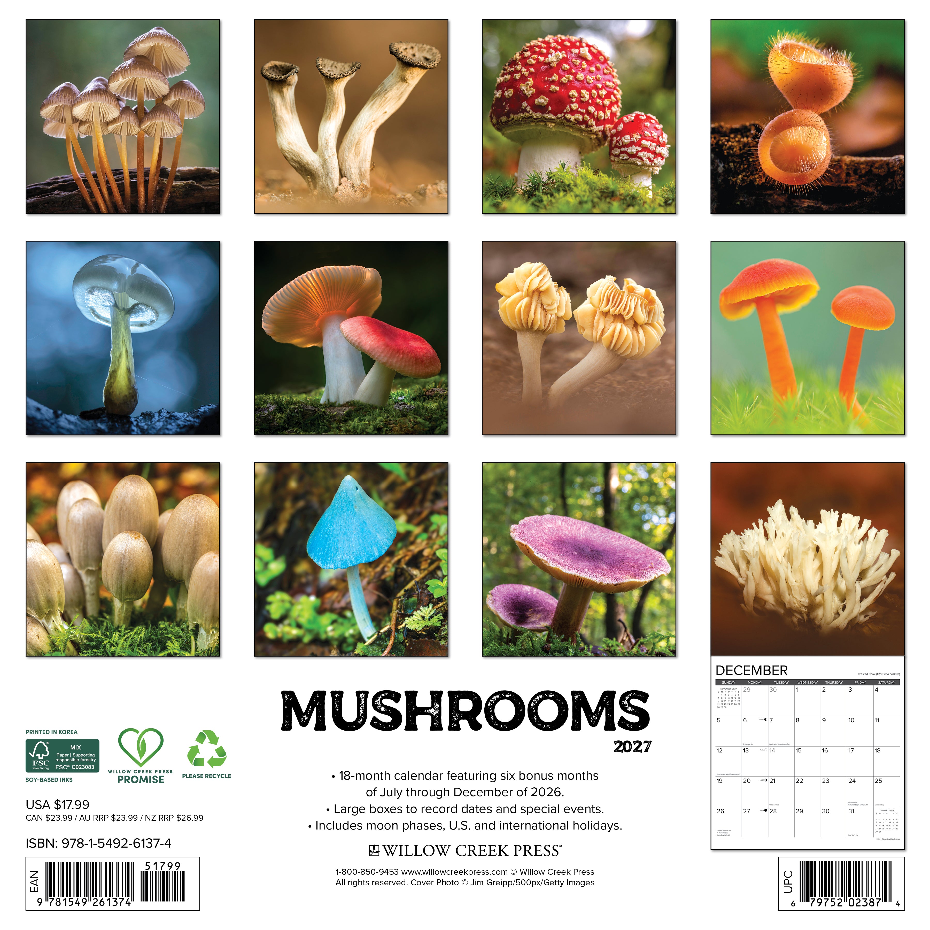 Willow Creek Press, Mushrooms 2027 Wall Calendar