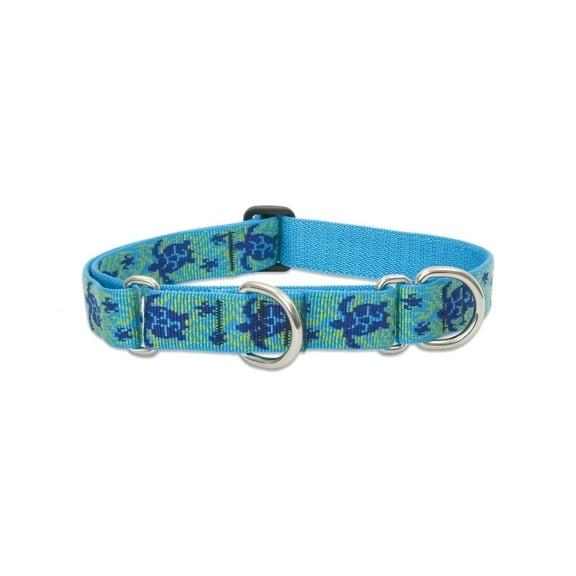 LupinePet Originals 1" Turtle Reef 19-27" Martingale Collar for Large Dogs