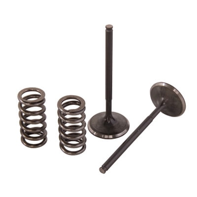 Pro X 28.SES4409-1 Steel Exhaust Valve/Spring Kit
