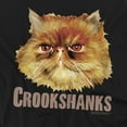 thumbnail image 2 of Harry Potter Crookshanks Color Officially Licensed Adult T Shirt, 2 of 7
