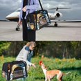 thumbnail image 7 of Sea Turtle Sherpa-Lined Pet Carrier Bag with Fabric 900D Oxford Cloth Base and Nylon Webbing- Travel Friendly and Comfortable Transport, 7 of 7